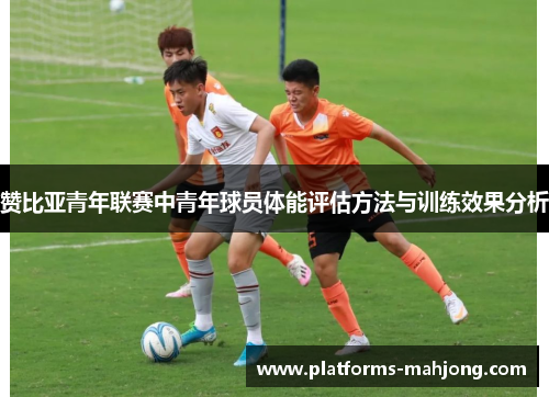 赞比亚青年联赛中青年球员体能评估方法与训练效果分析 赞比亚青年联赛中青年球员体能评估方法与训练效果分析