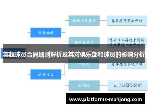 英超球员合同细则解析及其对俱乐部和球员的影响分析 英超球员合同细则解析及其对俱乐部和球员的影响分析