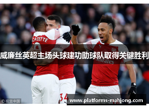 威廉丝英超主场头球建功助球队取得关键胜利