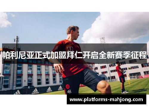 帕利尼亚正式加盟拜仁开启全新赛季征程