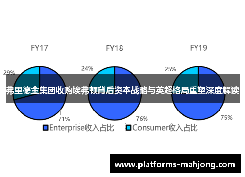 弗里德金集团收购埃弗顿背后资本战略与英超格局重塑深度解读 弗里德金集团收购埃弗顿背后资本战略与英超格局重塑深度解读