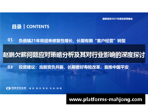 赵鹏欠薪问题应对策略分析及其对行业影响的深度探讨