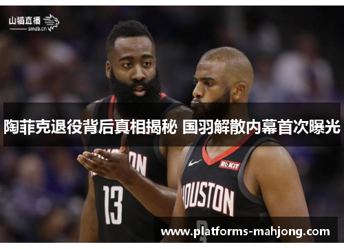 陶菲克退役背后真相揭秘 国羽解散内幕首次曝光 陶菲克退役背后真相揭秘 国羽解散内幕首次曝光