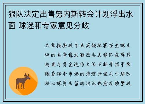 狼队决定出售努内斯转会计划浮出水面 球迷和专家意见分歧